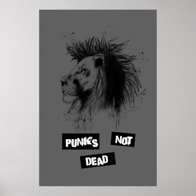 Affiches punks non morts (Devant)