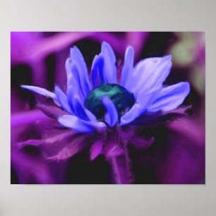 Affiches Purple Black Eyed Susan Flower Photo Painting