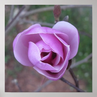 Affiches Purple Flower print