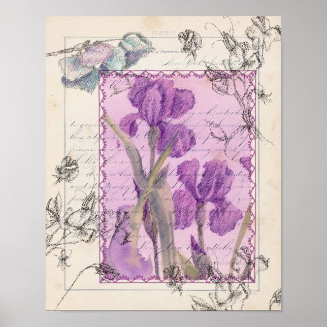 Affiches Purple Iris Sweet Pea Aquarelle Fleurs Collage (Devant)