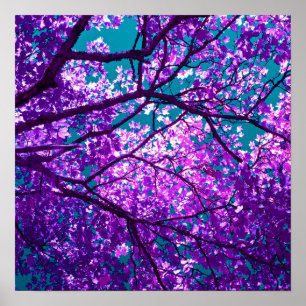 Affiches Purple tree II
