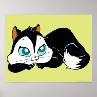 Affiches Pussyfoot Cute Kitty