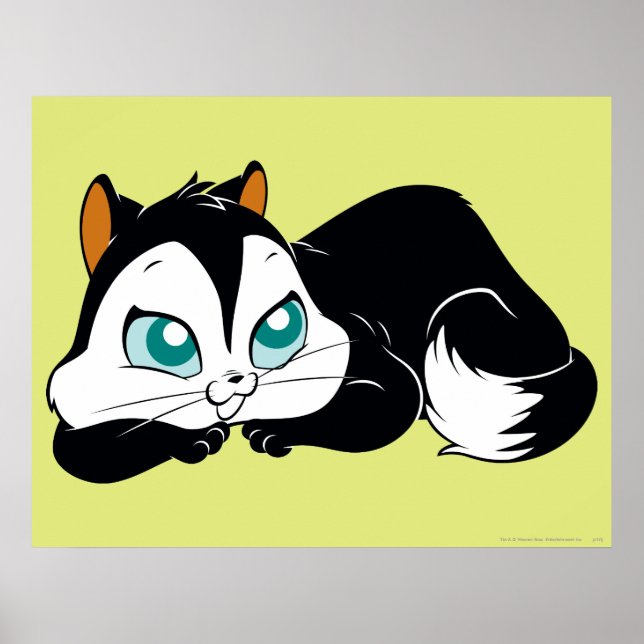 Affiches Pussyfoot Cute Kitty (Devant)
