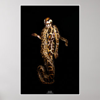 Affiches Python par Johannes Stötter