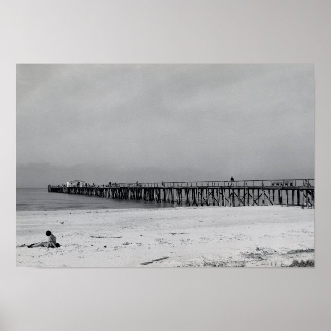 Affiches Quai Naples Florida (Devant)