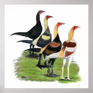 Affiches Quartet de jeu moderne