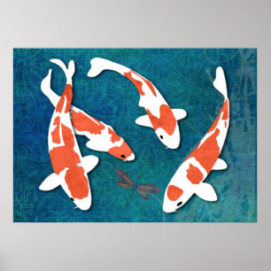 Affiches Quartet d'Orange & White Kohaku Koi