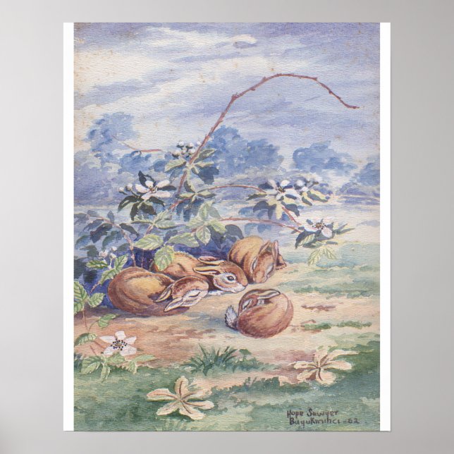 Affiches Quatre lapins couchés 16 X 20 tirage (Devant)