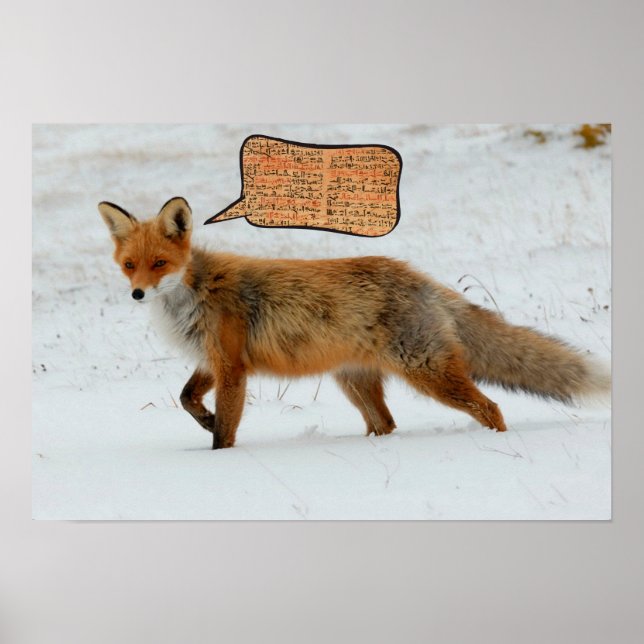 Affiches Que dit le renard ? Imprimerie d'art hommage Ylvis (Devant)