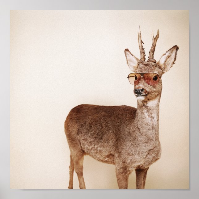 Affiches Que regardes-tu ? (Devant)