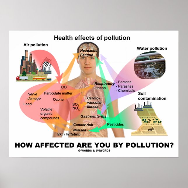 Affiches Quel Est Votre Impact Sur La Pollution ? (Physiolo (Devant)