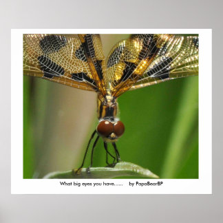 Affiches Quels grands yeux tu as...... ...