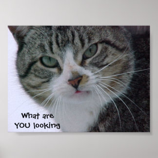 Affiches Qu'est-ce que VOUS regardez ? ! ? !