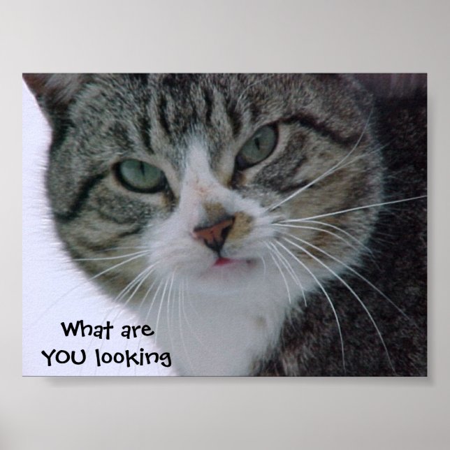 Affiches Qu'est-ce que VOUS regardez ? ! ? ! (Devant)