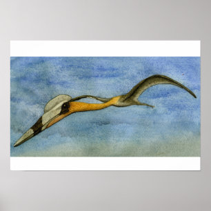 Affiches Quetzalcoatlus