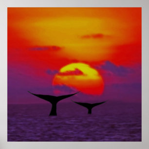 Affiches Queues de baleine au coucher du soleil