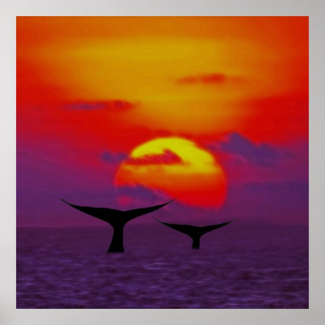 Affiches Queues de baleines au coucher du soleil (Devant)