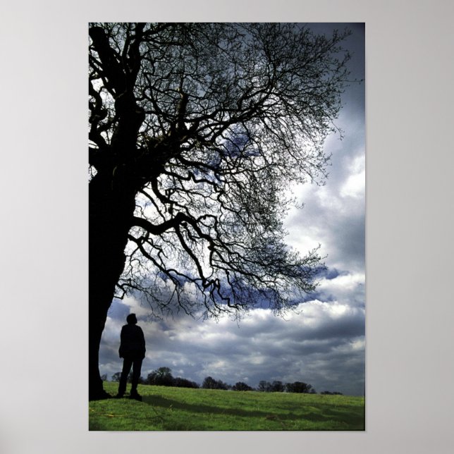 Affiches Qui Est Allé Avec L'Arbre À Vent (Devant)