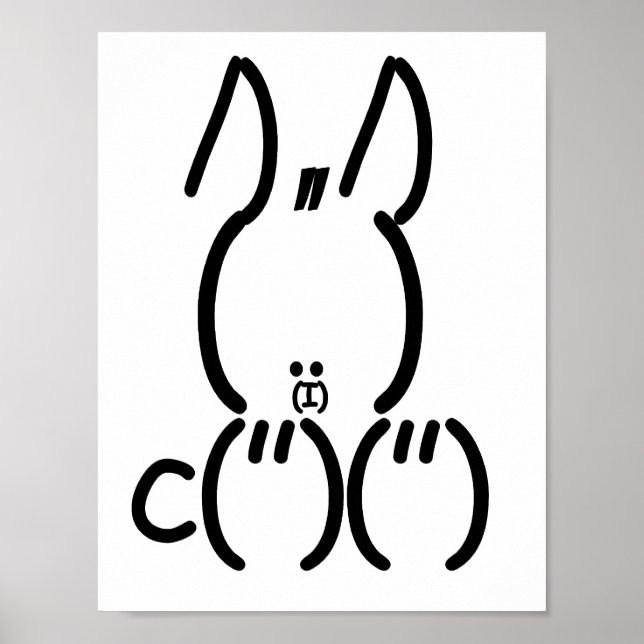 Affiches Rabbit ASCII (Devant)