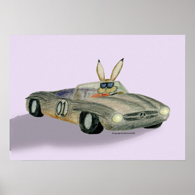 Affiches Rabbit de course automobile (Devant)