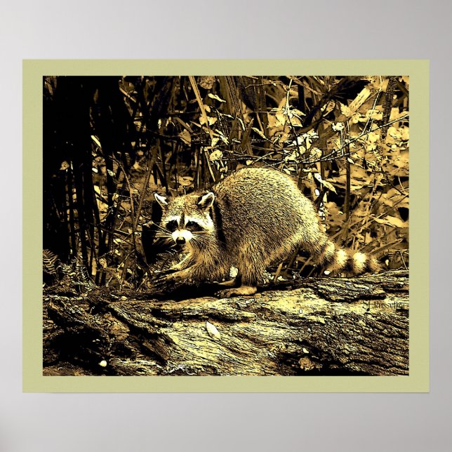 AFFICHES RACCOON ROCHEUX ASSIS SUR UN ARBRE (Devant)