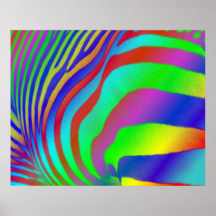 Affiches Rainbow Zebra