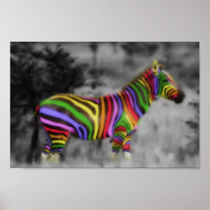 Affiches Rainbow Zebra