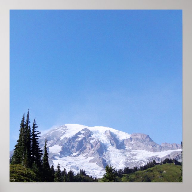 Affiches Rainier PDSC213 (Devant)