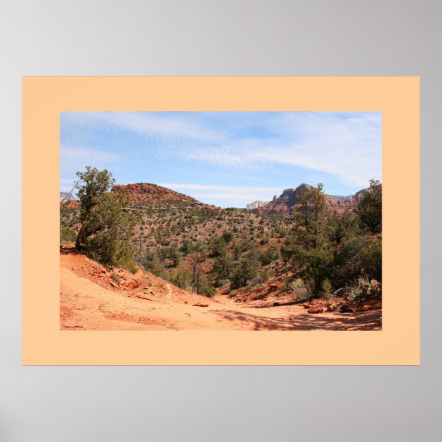 Affiches Rainwash Trail (Devant)