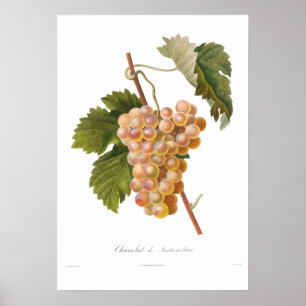 Affiches Raisin, Chasselat De Fontainebleau