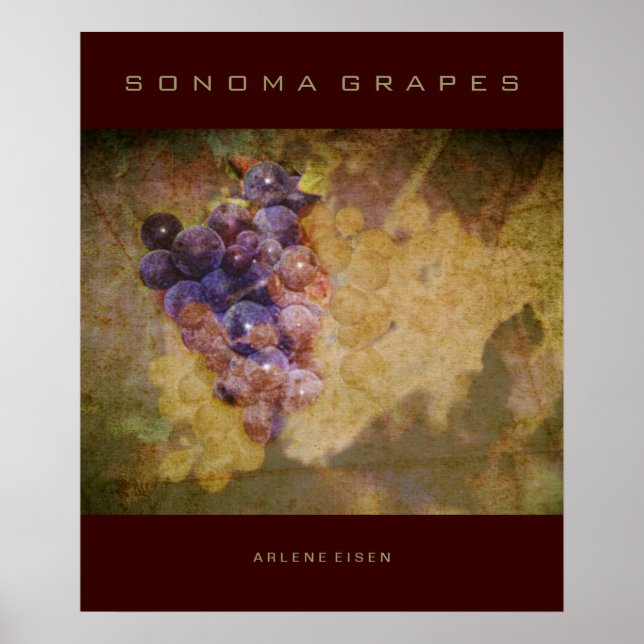 Affiches Raisins de Sonoma sur la vigne (Devant)