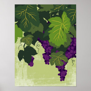 Affiches Raisins sur la vigne