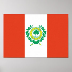 Affiches Raleigh, drapeau de la Caroline du Nord