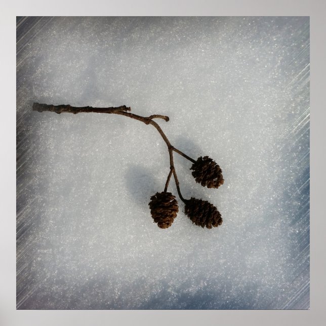 Affiches rameau (Devant)