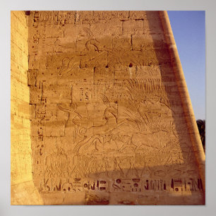 Affiches Ramesses III chasse les taureaux sauvages