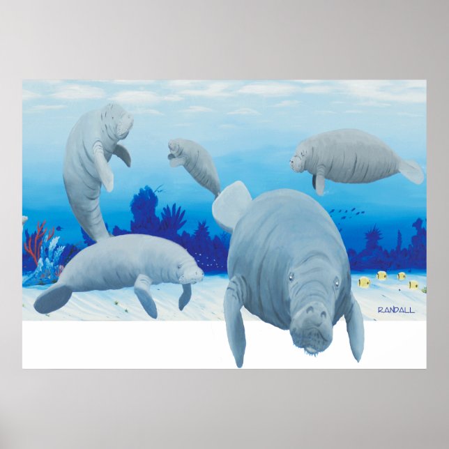 Affiches Randalls manatees (Devant)