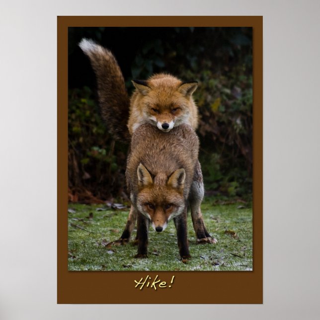 Affiches Randonnée ! (Devant)