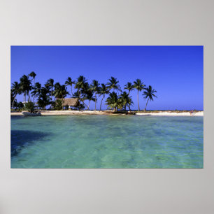 Affiches Ranguana Caye, Belize