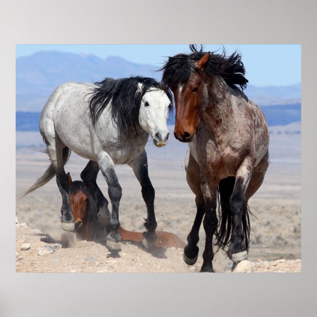 Affiches Rapide et furieux (Devant)