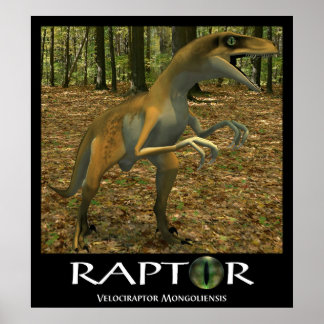 Affiches Raptor