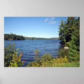 Affiches Raquette Lank in the Adirondack print 08 229