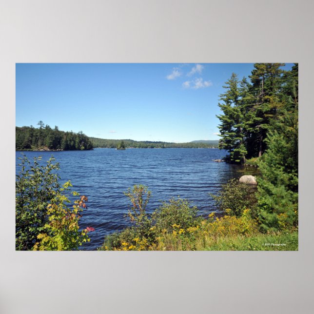 Affiches Raquette Lank in the Adirondack print 08 229 (Devant)