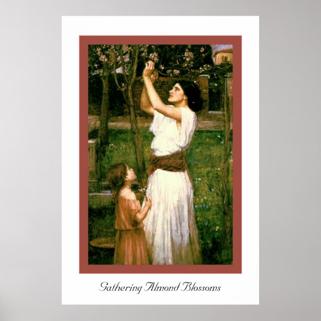 Affiches Rassembler les fleurs d'amandes (Devant)