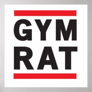 Affiches Rat de gymnase