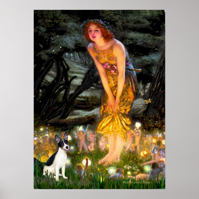 Affiches Rat Terrier - MidEve (Devant)