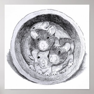 Affiches Rats de tube