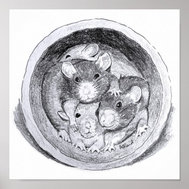 Affiches Rats de tube (Devant)