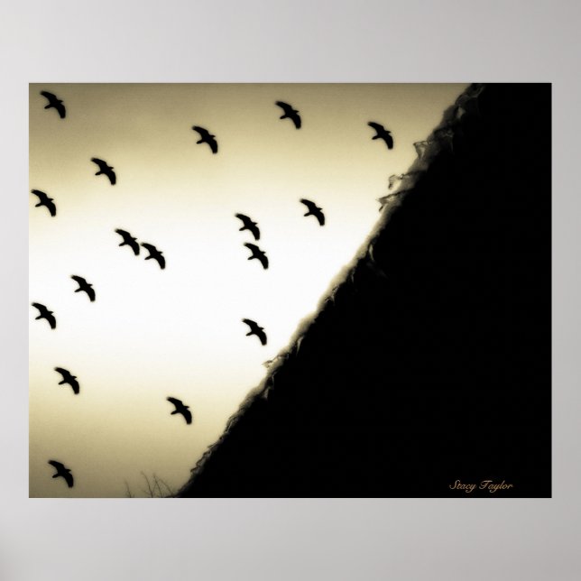 Affiches Ravages en vol (Devant)