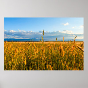 Affiches Rayons de soleil sur champ de blé avec montagnes