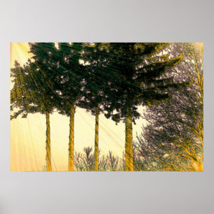 Affiches Rayons d'espoir
